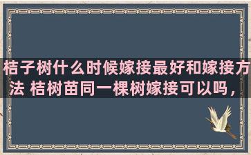 桔子树什么时候嫁接最好和嫁接方法 桔树苗同一棵树嫁接可以吗，也就是说把桔苗剪下来在接上可以吗